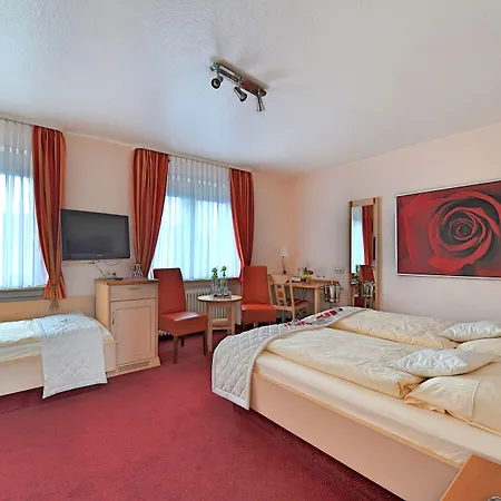 Отель Trapp Рюдесхайм-на-Рейне