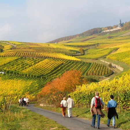 Trapp Hotel Rüdesheim am Rhein