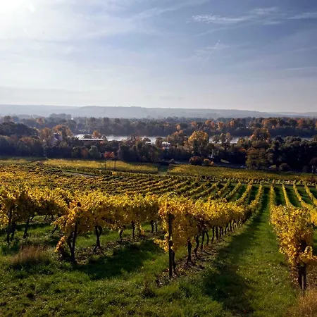 Trapp Рюдесхайм-на-Рейне