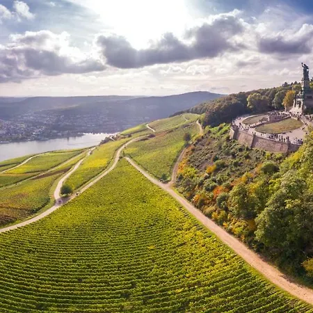 Trapp 3* Рюдесхайм-на-Рейне