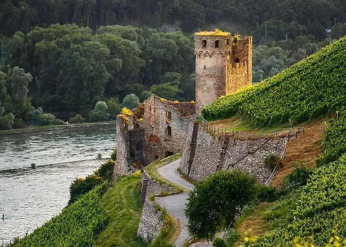 Trapp 3* روديسهايم ام رين