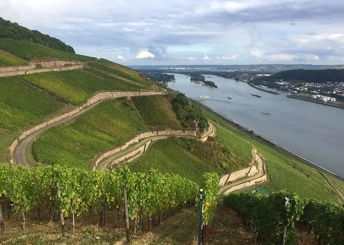 Trapp Rüdesheim am Rhein