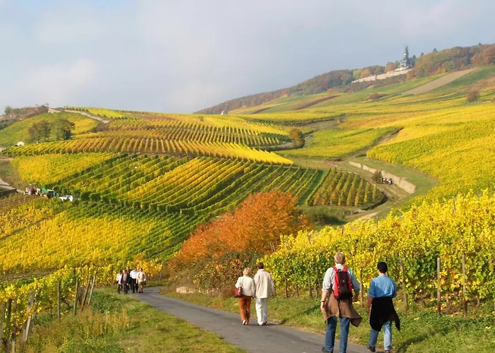 Trapp فندق روديسهايم ام رين